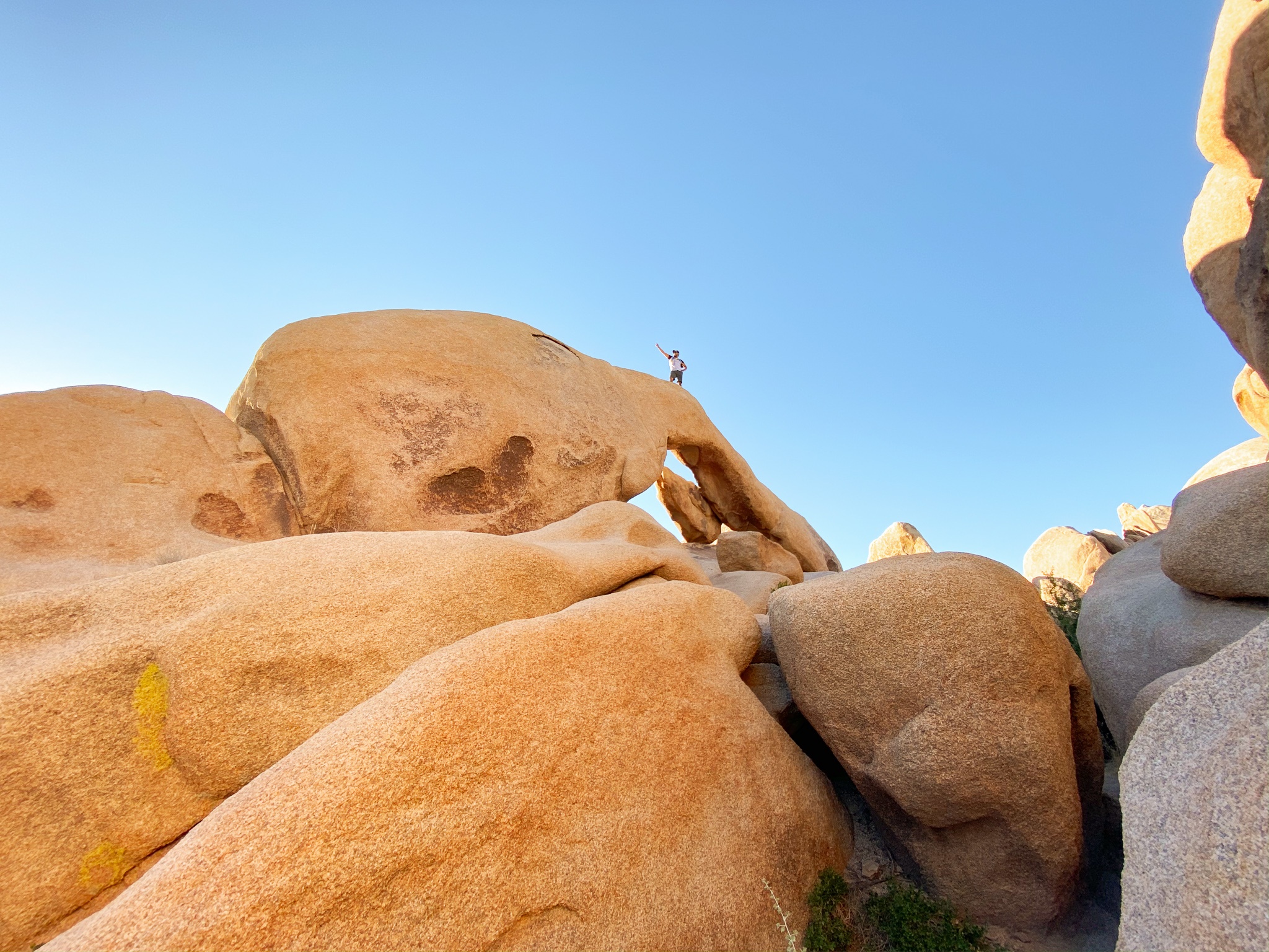 Person on top of a rock shaped like an arch in Joshua Tree