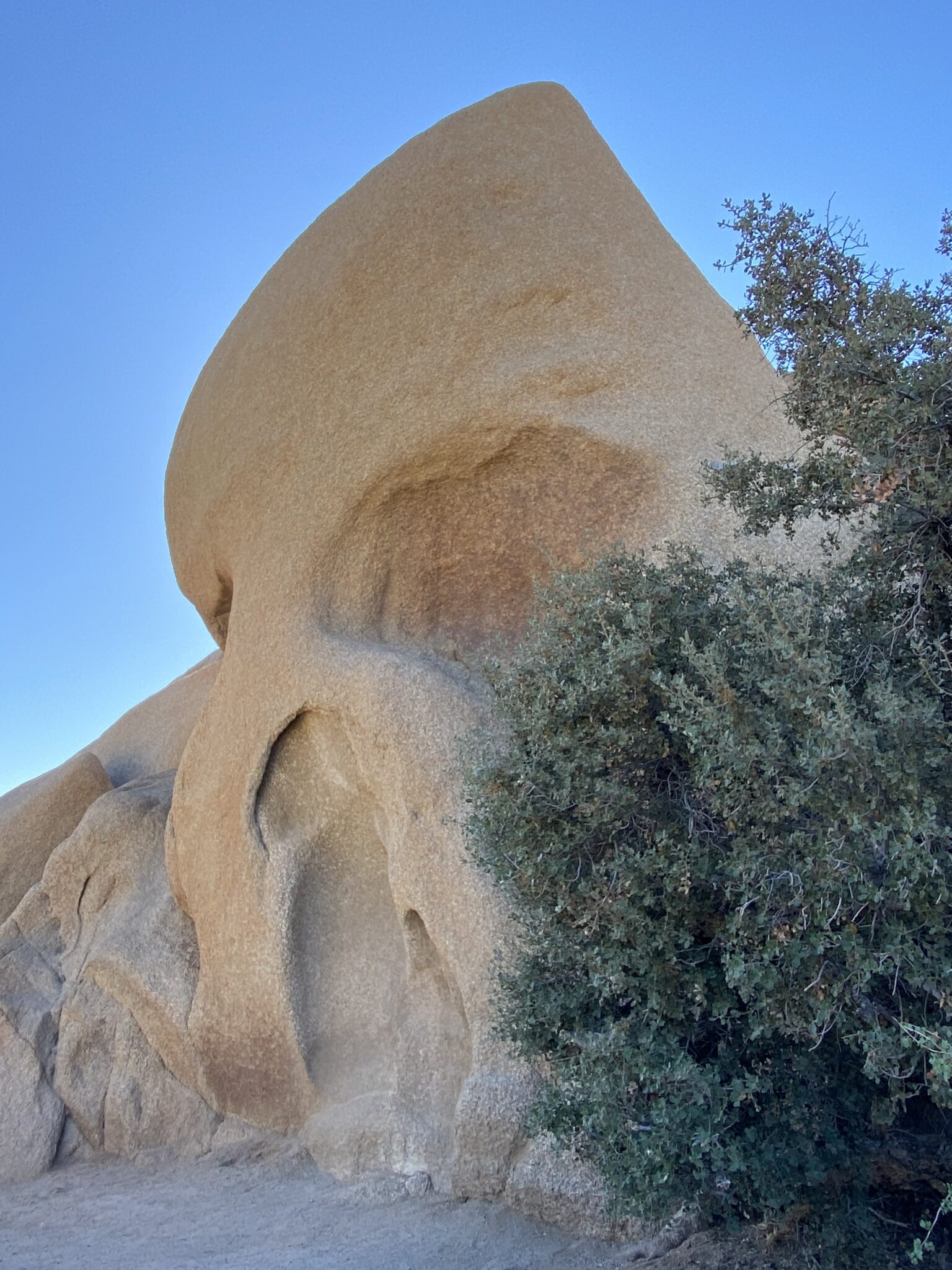 Boulder shaped like a skull in Joshua Tree National Park