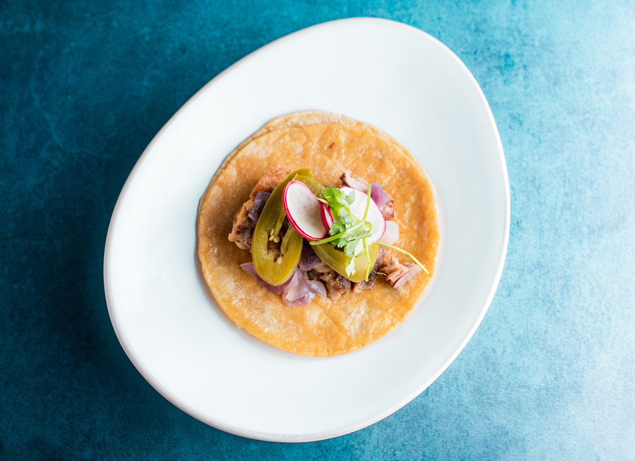 taco artfully placed on a decorative plate and a blue background