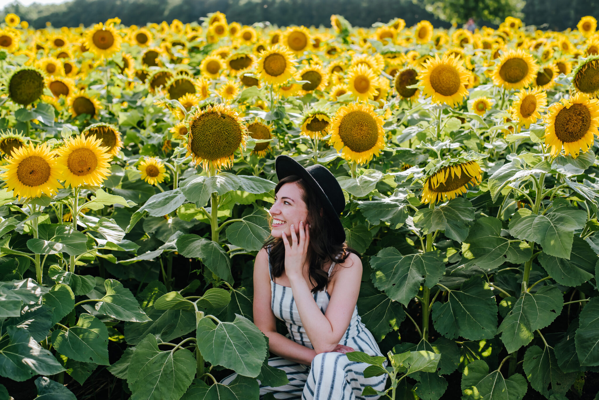 Girl with wide brimmed hat poses in field of sunflowers