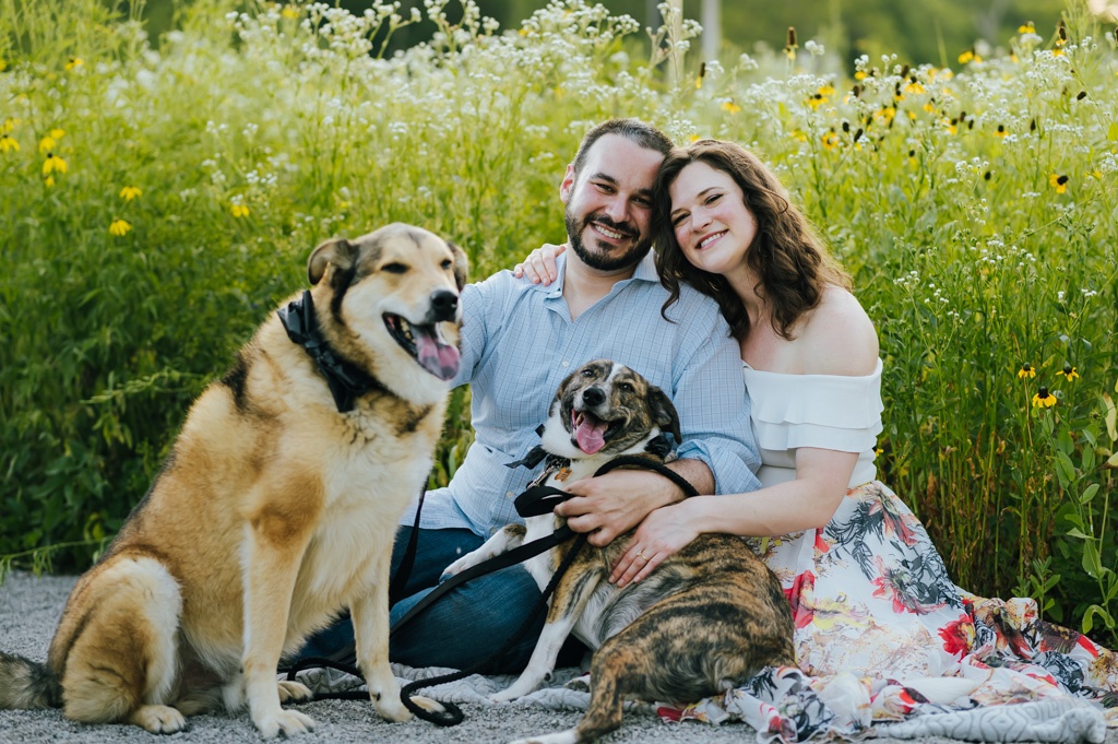 Couple sits with their two dogs in a grassy field and smile for photos