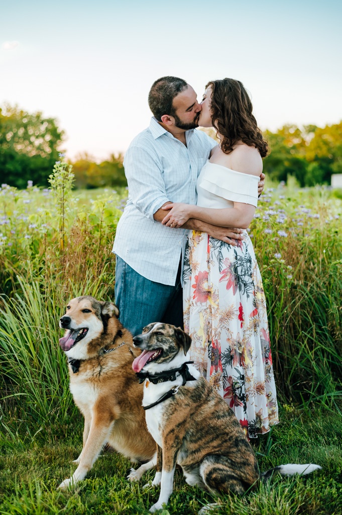 Couple embraces for a kiss as their dogs sit in front of them