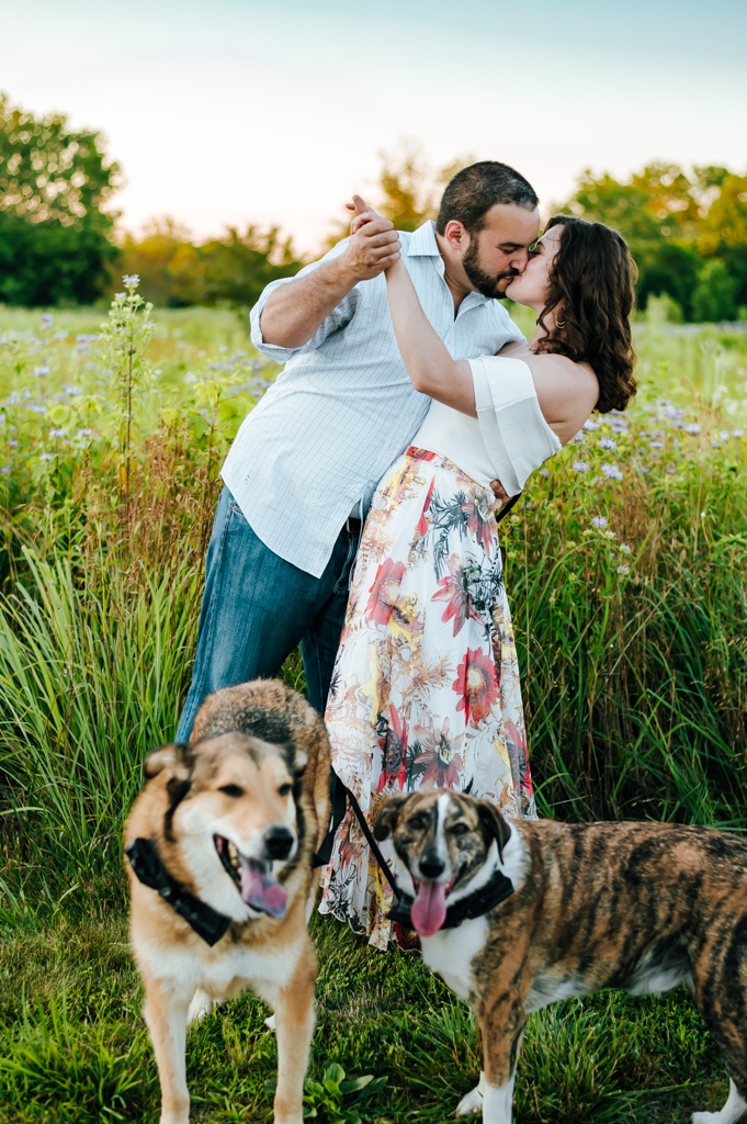 Couple dips for a kiss as their dogs sit adorably in front of them