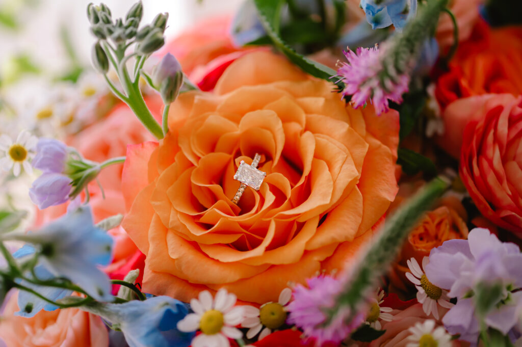 A close up of a diamond engagement band in a beautiful orange rose