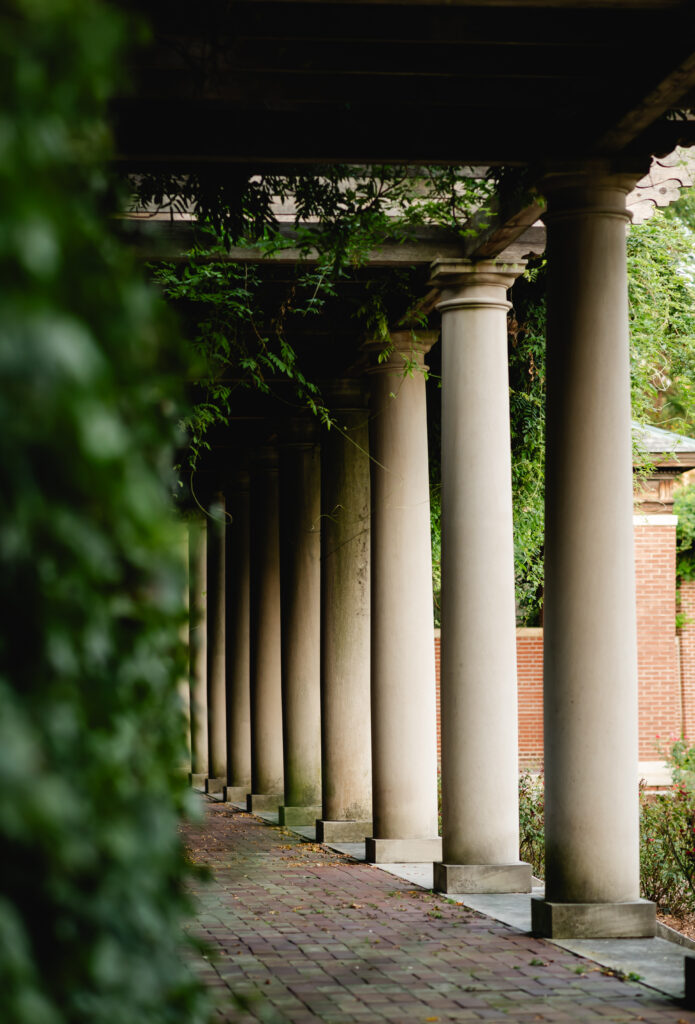 Ivy in the foreground highlights the ivory pillars of the colonnade of Gardencourt