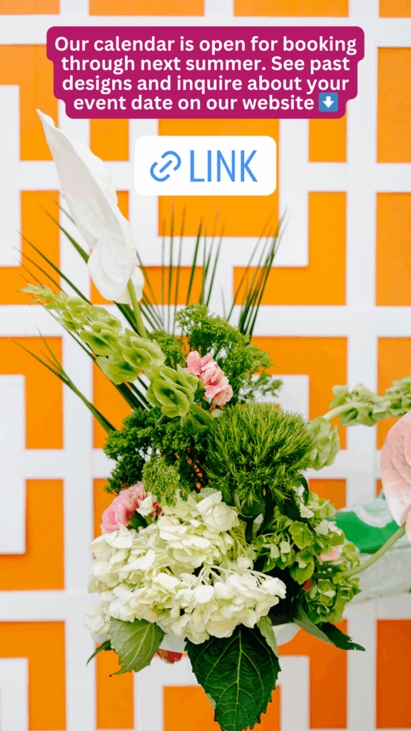 An example of an Instagram story using a call to action and link